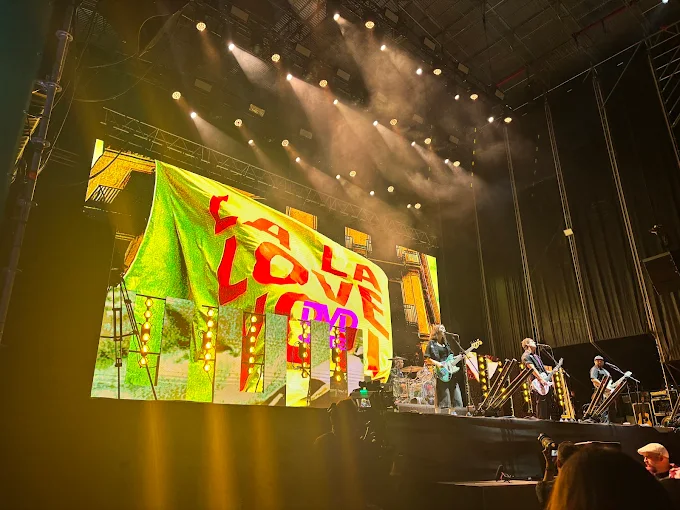 Festival Mediterránea Gandía 🏖️
