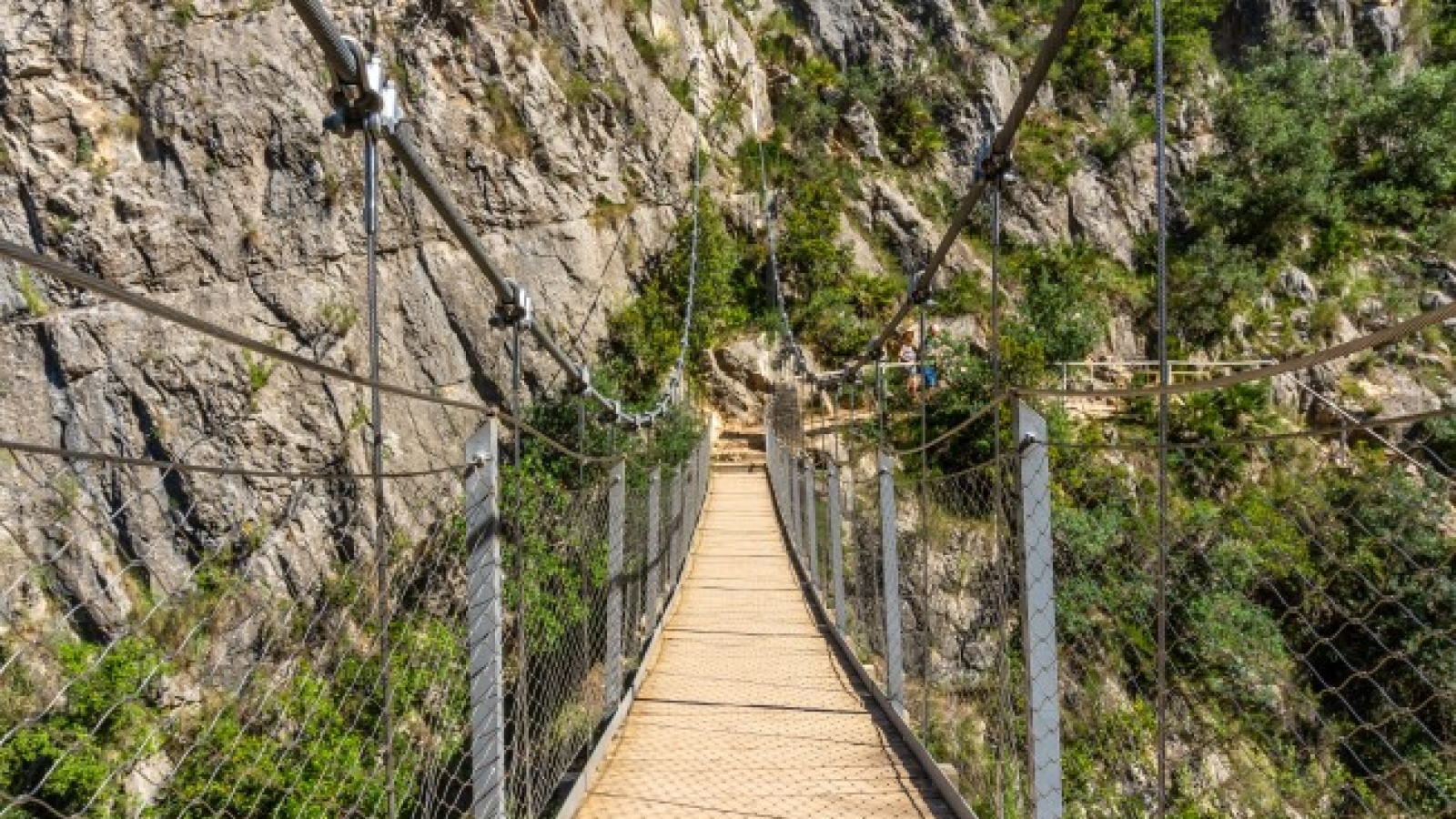 Suspensión y naturaleza extrema