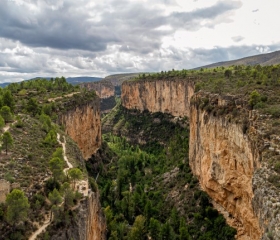 Suspensión y naturaleza extrema