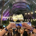La gran fiesta del vino