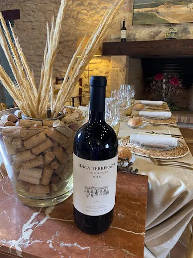 Tinto valenciano con 94+ puntos Parker