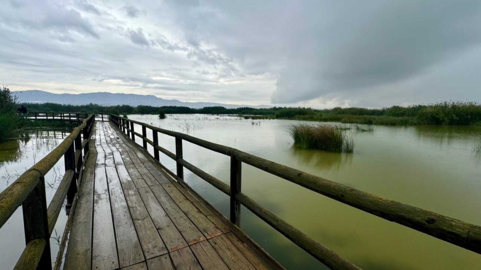 Naturaleza y tradición
