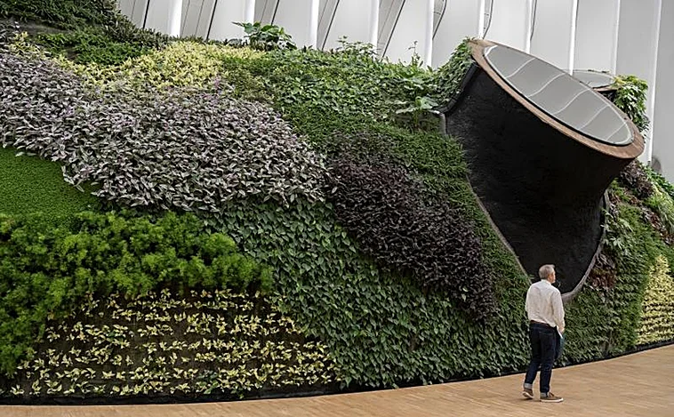 Valencia es el paraíso del peatón