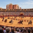 El Torneo del Rey 👑⚔️