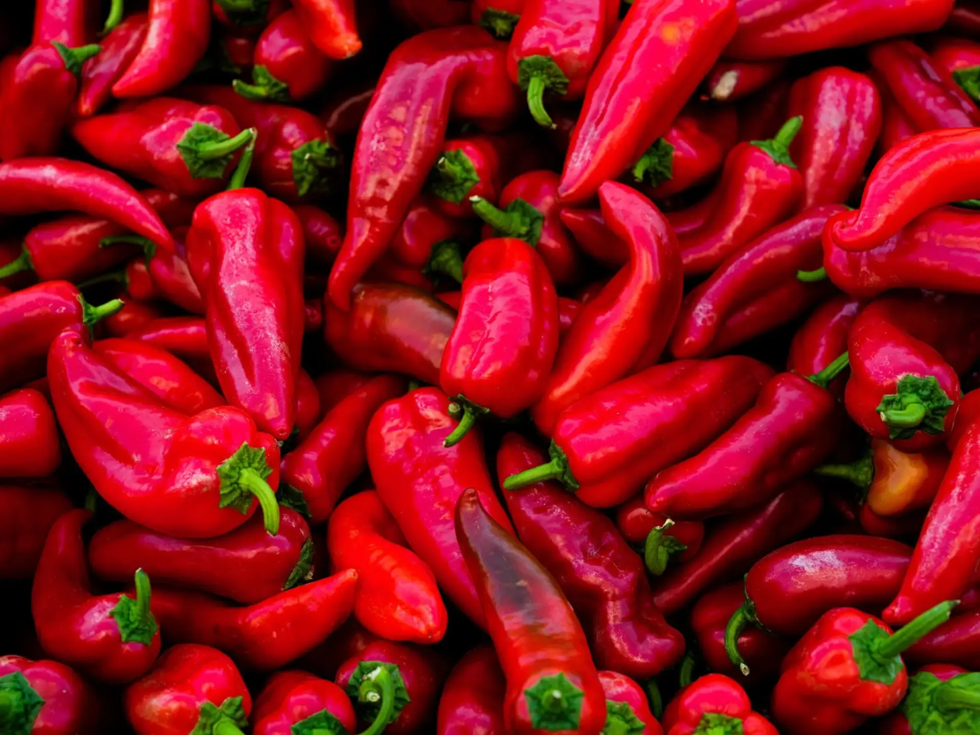 La mayor feria del picante🌶️🥵🔥💥