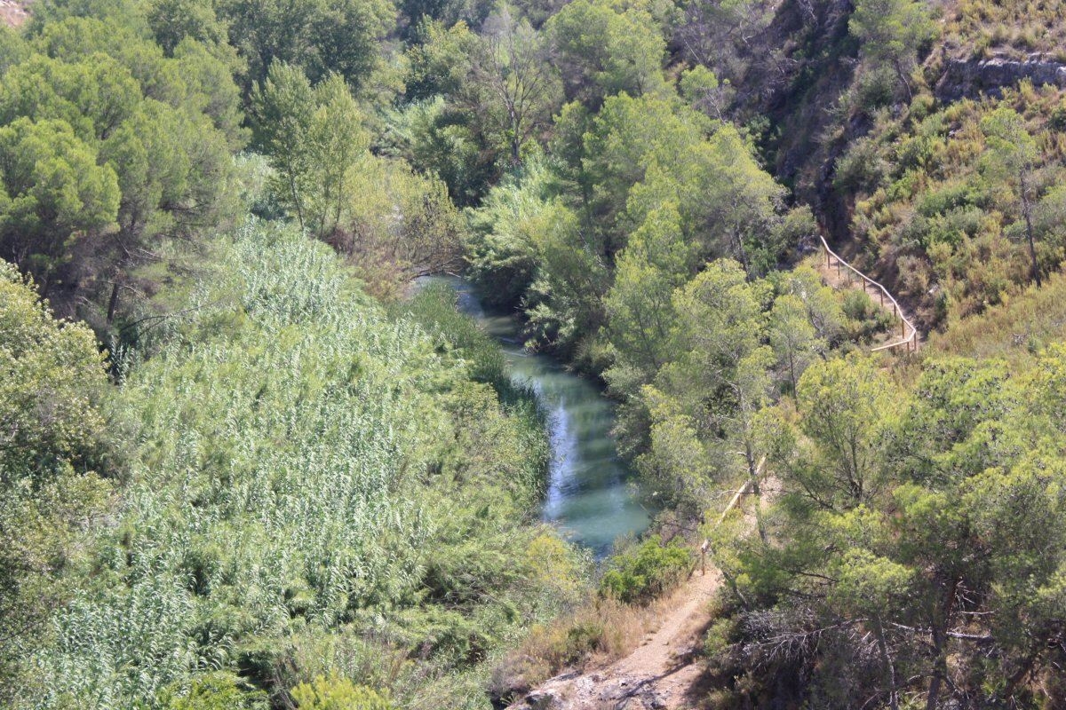 El renacimiento del Turia