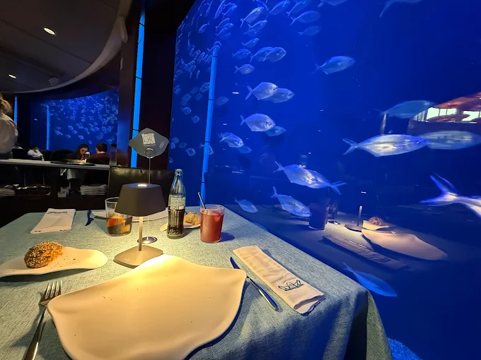 Una noche de ilusión hipnótica