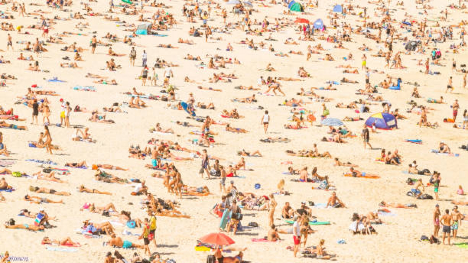 La calidad turística impulsa el futuro