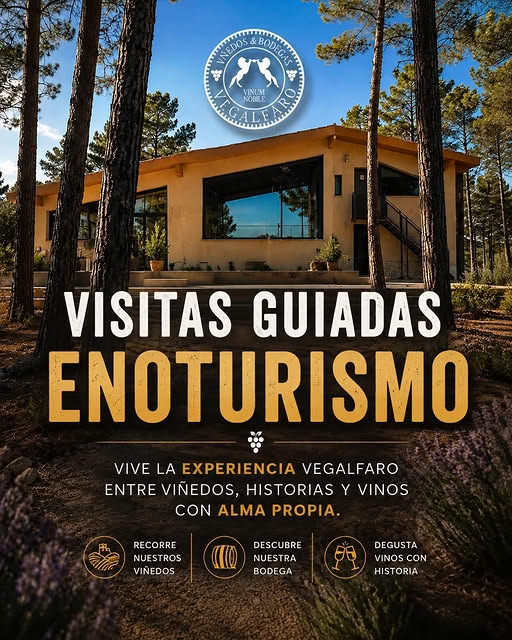 Bodegas Vegalfaro 🍇