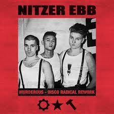 NITZER EBB DESATA EL EBM 