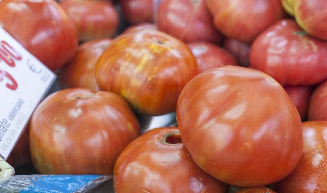 Vuelve la Feria del Tomate Valenciano