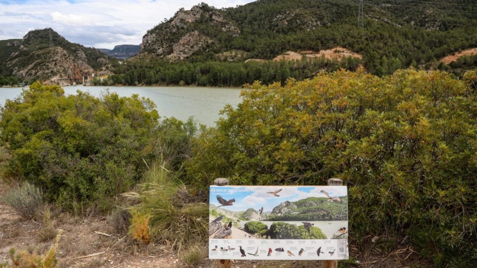 La Diputación lanza las ayudas 'Impulsem Turisme' 2025 para financiar proyectos que fomenten el turismo en la provincia