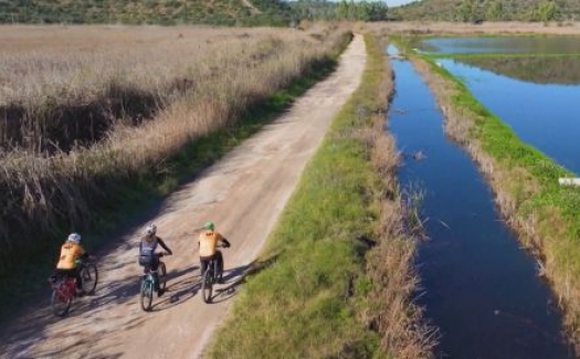 A golpe de pedal