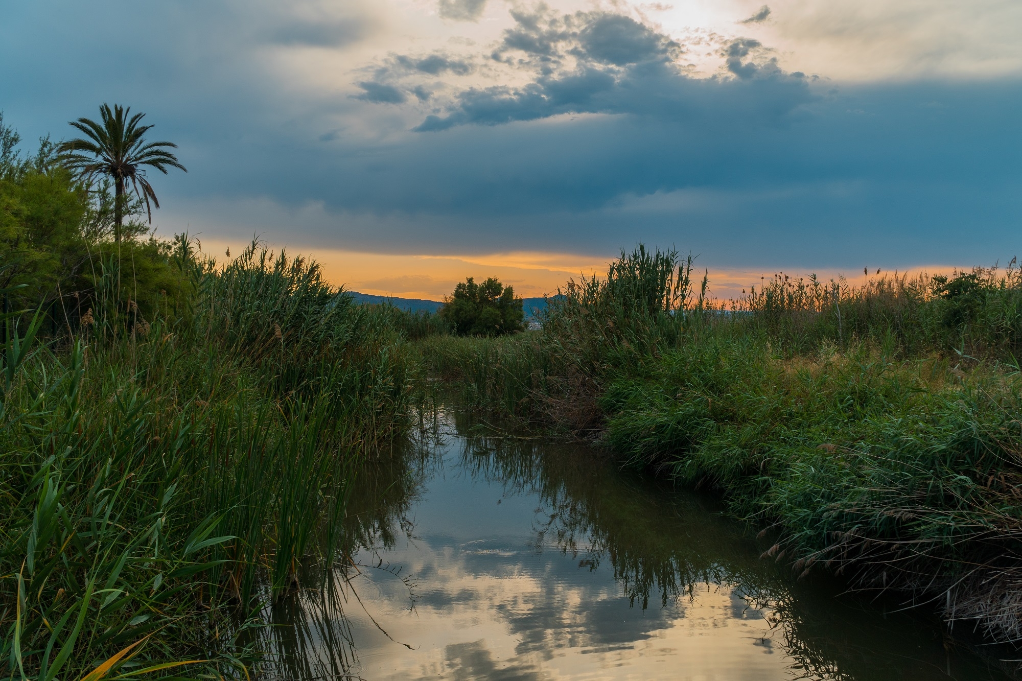 Atardeceres en la Marjal de Almardà.