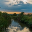 Atardeceres en la Marjal de Almardà.