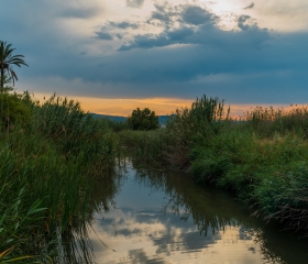 Atardeceres en la Marjal de Almardà.