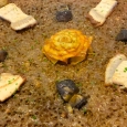 VIII Jornadas Gastronómicas de Arroces Valencianos