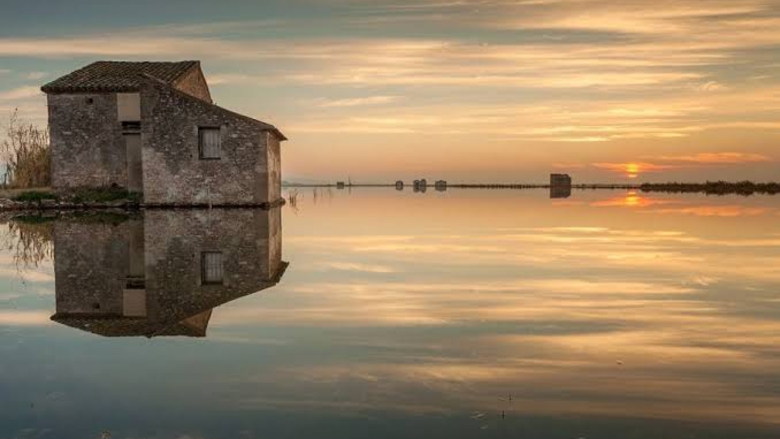 🌾🖼️ El IVAM abre una ventana a la Albufera