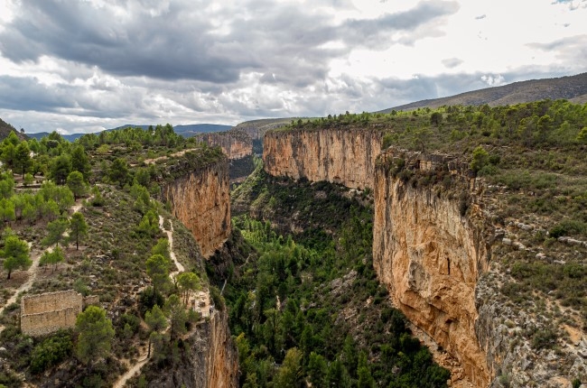 Suspensión y naturaleza extrema