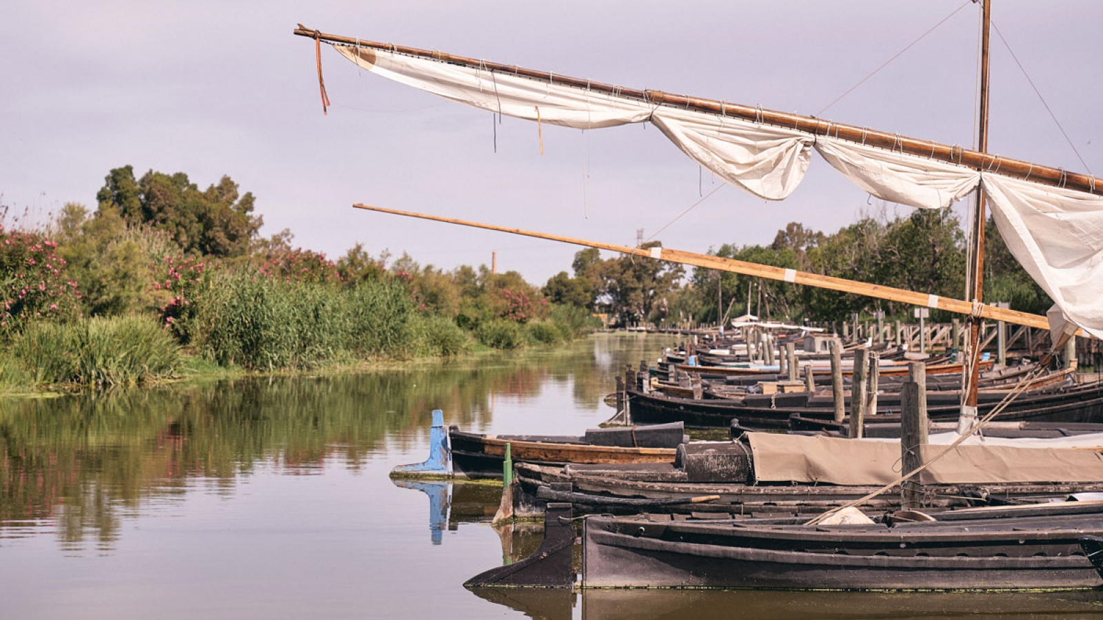 Alas de la Albufera