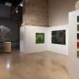 Valencia inaugura una exposición interactiva y participativa que reforesta bosques valencianos