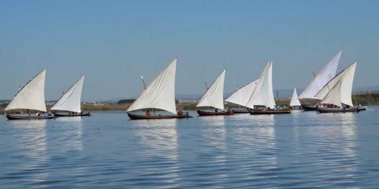 Alas de la Albufera