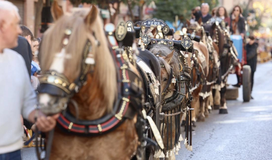 Agenda fin de samana